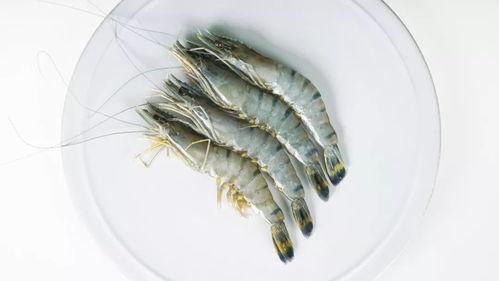 黑虎吃瓜,揭秘神秘生物的趣味生活