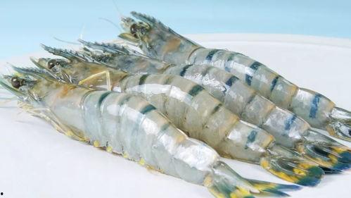 黑虎吃瓜,揭秘神秘生物的趣味生活