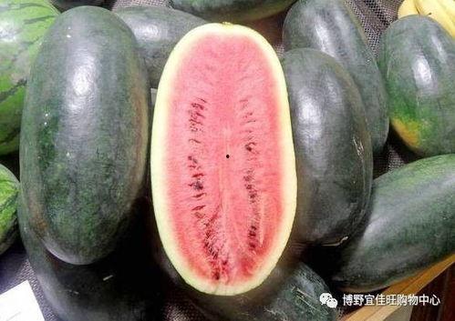 黑瓜吃料每日更新,每日精选，营养资讯一网打尽