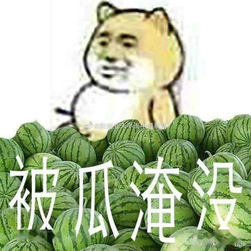 吃瓜黑料在线2023,揭秘娱乐圈幕后真相