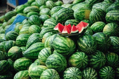 24小时吃瓜黑料反差免费,揭秘明星反差萌免费大放送