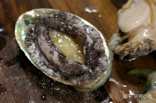 吃瓜黑鲍鱼,揭秘吃瓜黑鲍鱼的独特魅力与烹饪技巧